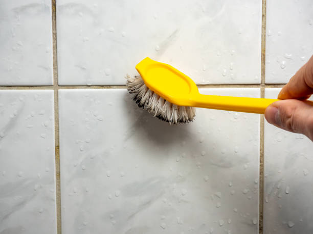 Best Mold Cleaning Services  in Graysville, AL